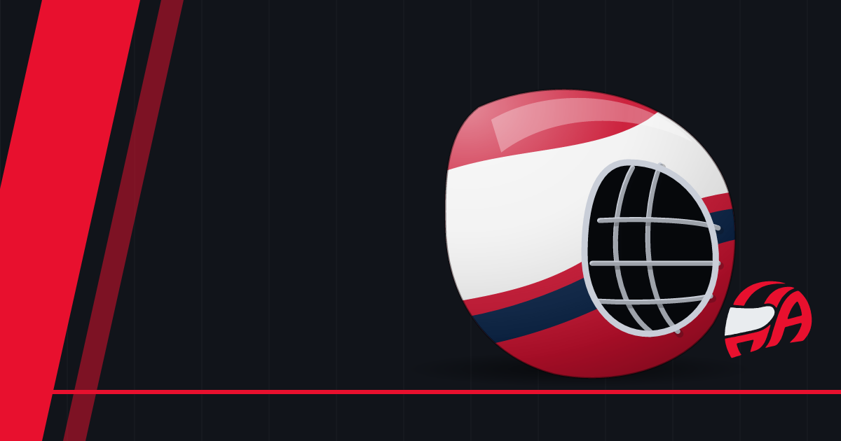 Sergei Bobrovsky Brick by Brick helmet: 2024–25 season